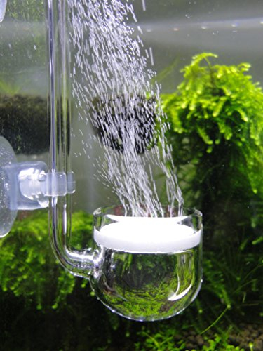 JARDLI Musik Glas CO2 Diffusor für Aquarium Pflanze (Φ30mm)