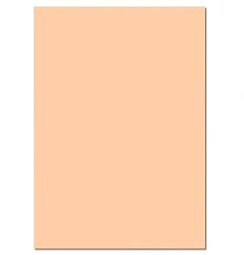 Fotokarton 300g/m² 25 Bogen (50x70cm), apricose, folia 61/25 42