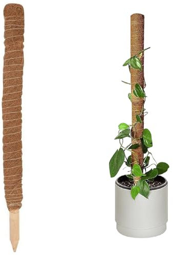Holdfiturn Moss Pole 80cm Coir Totem Pole Moss Stick Plant Support Totem Pole Plant Climbing Coco Coir Poles for Creepers Climbing Plant