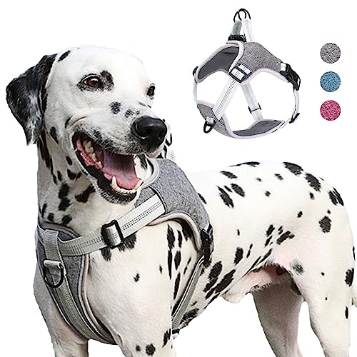 AgoumLux Hundegeschirr Kleine Hunde, Reflektierend Hunde Geschirr mit Gepolstert Verstellbare, Anti Zug Welpen Brustgeschirr für Große Mittel Kleine Hunde, Grau, S