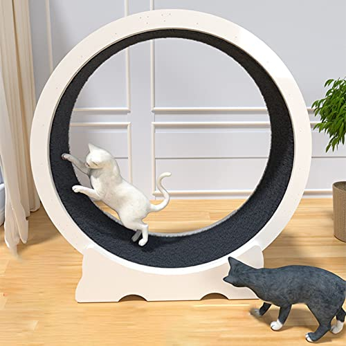 Laufrad für Katzen, weißes Katzenrad, Übungslaufband, geräuschlos, Katzenlaufrad für kleine/mittlere/große Haustierspielzeuge, verschleißfestes Katzenkratzbrett, Landebahn (Größe: 70 cm (27