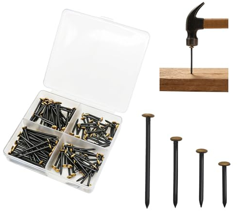 BURMONG 120 Stück Stahlnägel Set,20/25/30/40mm Nägel Bilder Aufhängen,Nägel mit Goldköpfen mit Box,Nägel für Betonwände,Kein Bohren Erforderlich für Mauerwerk und Holz