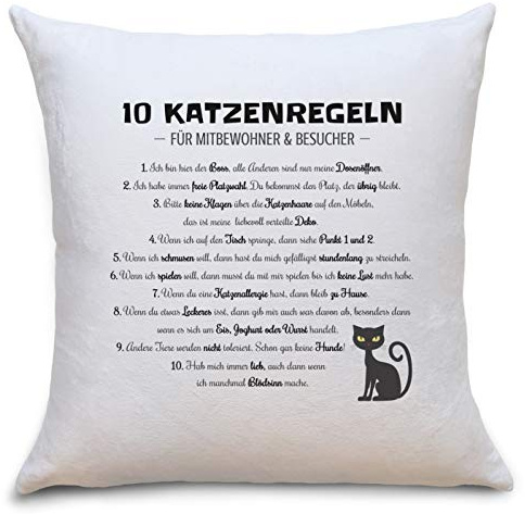 OWLBOOK 10 Lustige Katzenregeln Flauschige Kissenhülle mit Katzen Sprüche - Geschenke für Oma Freundin Kollegin Mama Katzenbesitzer - Kissen Polster mit Reißverschluss 40 x 40 cm