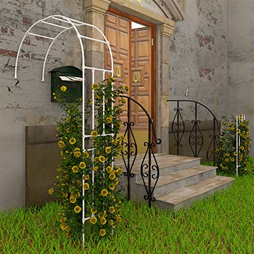 Metall-Gartenbogen für Rosen und Kletterpflanzen, Wandmontage, Rankhilfe für wetterbeständige Pflanzen, Halbbogen-Design, weiß, 120 x 240 x 40 cm