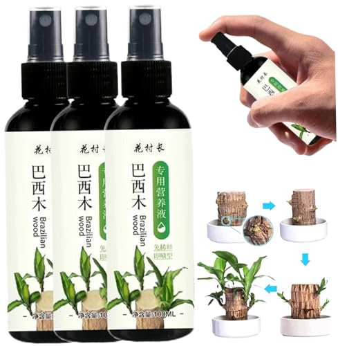 Lot de 3 engrais pour plantes en bois brésilien, engrais pour plantes d'intérieur pour bambou porte-bonheur, engrais pour plantes d'intérieur en bois brésilien, engrais liquide pour plantes d'intérieu