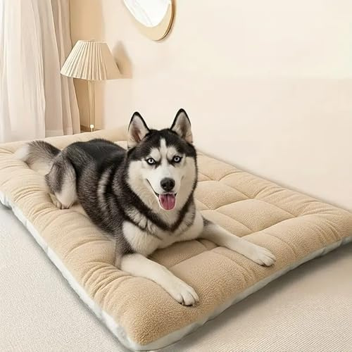 Swsen Hundebett für Hundebox – Waschbares Beruhigendes Hundekissen mit Rutschfester Unterseite, Weiche Komfortable Hundematratze für Große Hunde, Beige, 60×40×5 cm