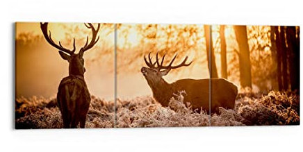 Wandbilder Dekoration Wohnzimmer Deer Heidekraut Tier Mehrteilige Bilder auf Leinwand 150x50cm Leinwandbild Schlafzimmer Set 3 teilige Wand Kunstdruck Art Groß XXL Wanddeko Bild Canvas CA150x50-3043