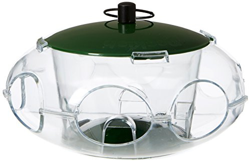 Peckish 60053061 Bird Seed Feeder for Small Birds, 24.8 x 14.8 x 5.4 cm, Green