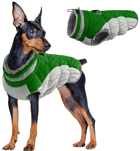 Warmer Wintermantel für Kleine Hunde, Winterjacke wasserdichte Hundejacke Hundemantel Welpen Hundeweste Winter Fleece Gefüttert Winddicht Mantel Chihuahua Französische Bulldogge(Grün, S)