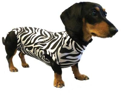 MPS Medical Pet Shirt Hund, Zebra Print, XS