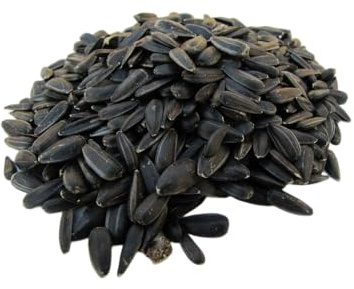 Sonnenblumenkerne schwarz 25kg, aus aktueller regionaler deutscher Ernte