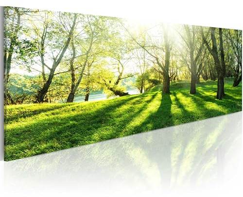 B&D XXL Acrylglasbild Landschaft 135x45 cm 1 Teilig Wandbild auf Acryl Glasbilder Kunstdruck Moderne Acrylglas Platte Wanddekoration Geschenke Heimdekoration Glasbild - Natur Bäume Park c-B-0053-k-a