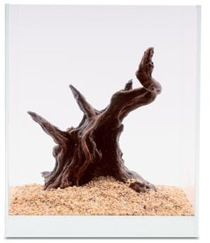 NatureHolic Ready to Scape Mystical Tree | Aquarium Deko Baum aus Kunstharz | Wasserneutral und zum Bepflanzen | Natürliches Dekoration für Aquarien | Ideal für Nano Aquarium ab 20cm