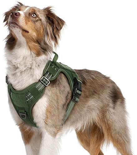 rabbitgoo Hundsele medium, taktisk justerbar dragsele, militär hundsele med molle-panel, reflekterande mjuk vadderad husdjursväst med enkelt kontrollhandtag för promenadträning, grön, M