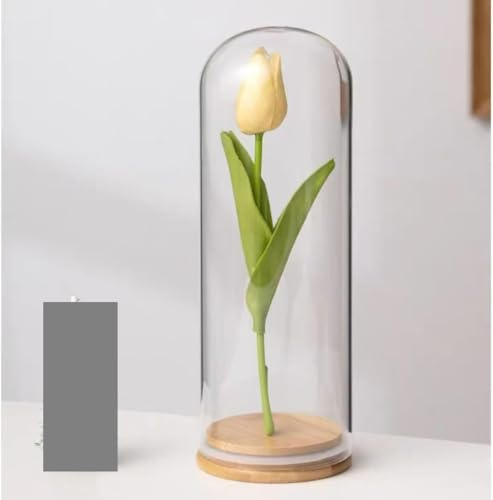 EBZFASO Campana di vetro a cupola, Cloche in vetro con cupola in borosilicato sigillata base in legno(15*40cm)