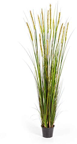 artplants.de Künstliches Fuchsschwanzgras, gelb Rispen, weiß - grün, 180cm - Kunstgras - Dekogras