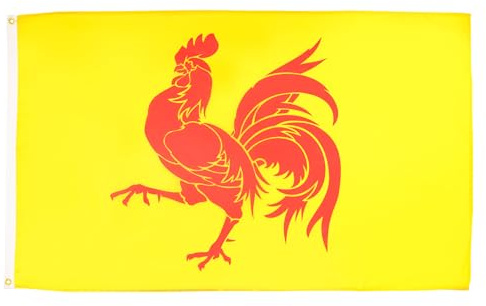 AZ FLAG Drapeau Wallonie 90x60 cm Drapeau Wallon Polyester 100D 2 Œillets | Usage intérieur et extérieur Drapeau décoratif coutures doubles et bords renforcés avec œillets métalliques