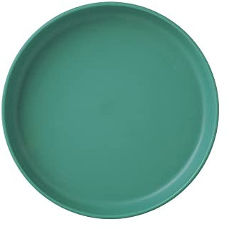 Plato de hueso para escupir, plato de hueso para el hogar, plato pequeño, plato de plástico para aperitivos, pasteles, mesa de comedor, bandeja de basura, bandeja plana para galletas, sin bordes