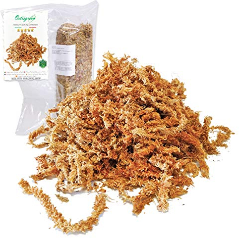 Ortisgreen Sfagno Cileno di qualità Premium da 150g Completamente Naturale e Biodegradabile. Substrato Ideale per Orchidee, Bonsai e Giardini Verticali.