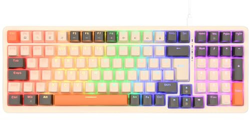 Rii Mechanical Keyboard, Wired Mechanical Gaming Keyboard Blue Switches with RGB backlit for PC Windows Mac keyboard-UK Layout