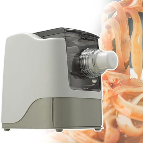 Automatic Pasta Maker Machine, 260w Electric Noodle Pasta Maker Machine Pasta Extruder for Home Making Noodles Spaghetti Macaroni,480g Capacity/13 Noodle Molds/Speed: 65-75r/Min,Grey