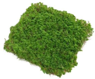 20/30 cm Kunstrasen Moos Grünland Gefälschte Gras Rasen Teppich Kunstrasen Outdoor Gras Matte Moos Teppich Im Freien garten Dekor(30 * 30cm)