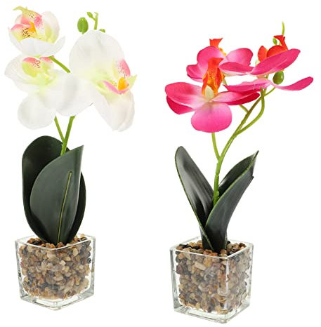 GOOHOCHY 2pezzi Phalaenopsis Vetro Per Decorazioni Casa e Imitazione Bonsai Per Ed