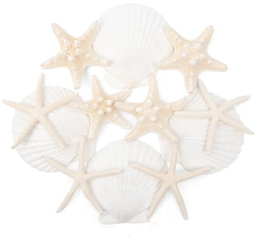 Conchas de estrella de mar y vieiras para manualidades, 12 unidades, conchas marinas grandes de 3 a 4 pulgadas, conchas marinas a granel para decoración de niños, playa, fiesta, pintura de pared
