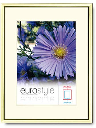 Mein Landhaus Bilderrahmen Alu Gold Kupfer Rose Alurahmen DIN A4 10x15 13x18 20x30 modern (Rose (Kupfer Glanz), 24x30cm)