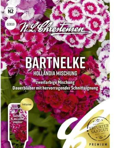 Bartnelke Hollandia Mischung Samen, Saatgut
