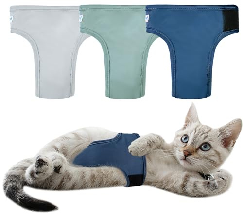 Paw Legend Katzenwindeln für männliche Katzen, waschbar, wiederverwendbar, Kätzchen-Windeln für Katzen, Inkontinenz, Haustierwindeln (3 Stück, mittel)