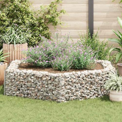 HaoChrymec Jardinière Surélevée Hexagonale with Acier Galvanisé, Design Panier à Pierre, Parterre Surélevé en Gabion, Jardinière à Gabion, Jardin, Vert, 200 x 173 x 40 cm