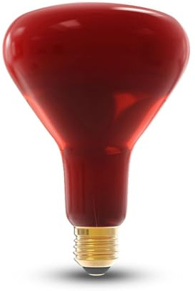 NuLoXx Infrarot Wärmelampe R125 250W E27 rot, 220-240V, Wäremlampe für Tiere wie Reptilien, Tieraufzucht