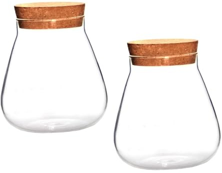 SHINEOFI Contenitore in Vetro Tappo in Sughero, Vaso Micro Paesaggistico Creativo da 2 Pezzi, Facile da Pulire, la Casa la Sala da Pranzo