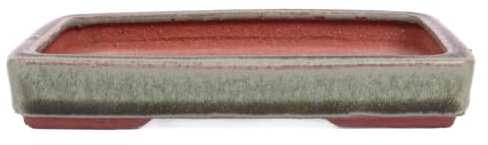 generisch Tokoname Bonsaischale von Youzan - 15.5 x 11 x 2.5 cm - eckig - grün - 58128