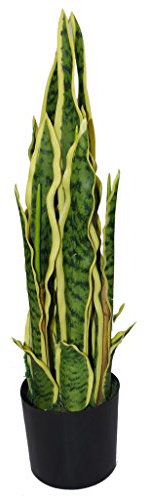 Leaf - Planta de Serpiente Artificial, Sansevieria, para Interiores, Color Amarillo y Verde, Sansevieria, 55 cm