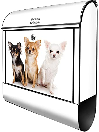 banjado Design Briefkasten personalisiert Chihuahua 38,5x46,5x13cm & 2 Schlüssel - Briefkasten Stahl schwarz Zeitungsfach pulverbeschichtet - Postkasten A4 Einwurf inkl. Montagematerial