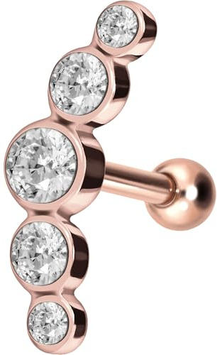 PIERCINGLINE Chirurgenstahl Ohrpiercing - langlebig & hautfreundlich - stylischer Ohrschmuck - Helix Stecker - 5 Kristalle