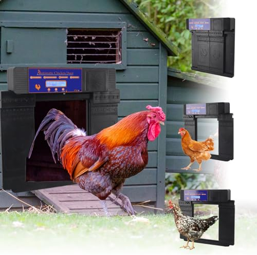 Automatische Hühnerklappe elektrisch solar- und batteriebetrieben - Doppelt geöffnete Hühnerstalltür mit Fernbedienung/Zeitschaltuhr/LED-Anzeige/Einklemmschutz für Hühner