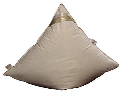 Betten Hofmann Daunenkissen Kopfkissen 80x80 cm, 100% Daunen Flachkissen super weich 450g Daunen, Naturprodukt,