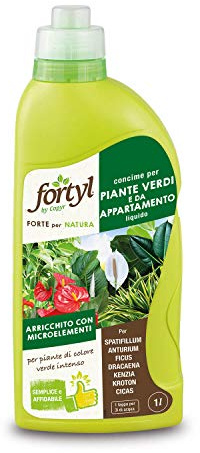 COPYR | Fortyl Piante Verdi e da Appartamento liquido - 1lt