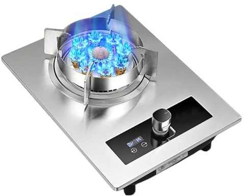 THEGA Cucina A Gas in Acciaio Inossidabile, Cucina da Campeggio A Bruciatore Singolo da 5,2 KW, Timer Indipendente, con Protezione Contro Lo Spegnimento della Fiamma(LPG)