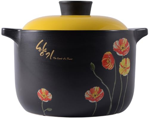 Olla de cerámica for cocinar, cacerolas, ollas barro, cazuela natural con tapa, olla grande for, resistente al calor