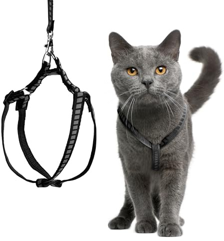 Filbert Katzengeschirr und Leine, Set mit reflektierendem Streifen, dünnes Katzengeschirr ausbruchsicher mit Leine, Step-in, verstellbar, für drinnen und draußen, einfach anzuziehen