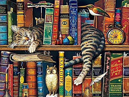 Y-fodoro 1000 Stück Puzzle Puzzle, Katze im Bücherregal Erwachsene Holzpuzzles, Kinder Kinder Entdecken Sie Kreativität Wandkunst Dekor Spielzeug