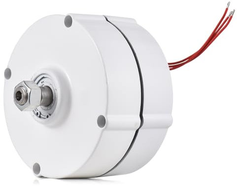 Irishom Alternatore trifase da 200 W Generatore a magneti permanenti NdFeB a Terre Rare Generatore a magneti permanenti ad Alta velocità 750 Giri/min 12 V Alternatore CA