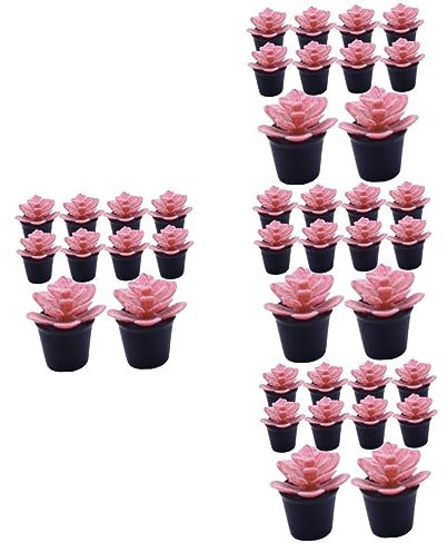 Toddmomy 40 STK Puppenhaus Topfpflanze Zimmerpflanzen Bookshelf Decor Mini-Faux-Sukkulenten Mini-Pflanztöpfe Modelle Ornament Puppenhauszubehör Garten Bonsai Modell dekor Kleiner Kaktus