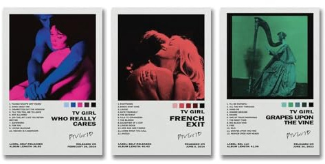 Gufatoo 3 Stück TV-Poster, Mädchen, Rockmusik, Band, Album, Poster, Wandkunst, Leinwandposter, Raumdekor, 20 x 30 cm, 3 Stück B0CQZ4F21F-1 B0CQZ4F21F-2 B0CQZ4F21F-3