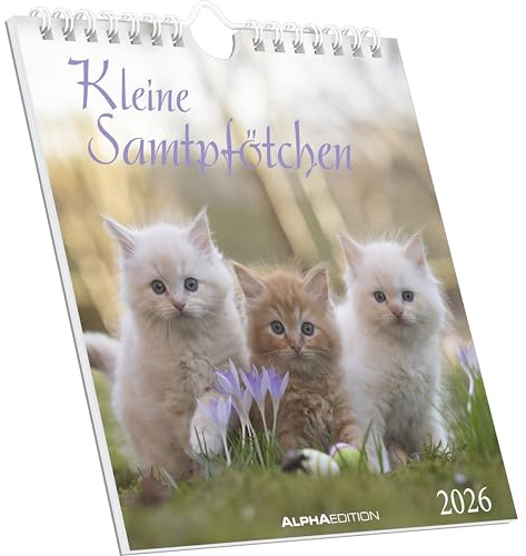 Alpha Edition - Kleine Samtpfötchen Kalender 2026 – Postkartenkalender 16×17 cm mit Katzenmotiven, zum Aufstellen oder Aufhängen, niedlicher Tischkalender & Geschenkidee für Katzenliebhaber