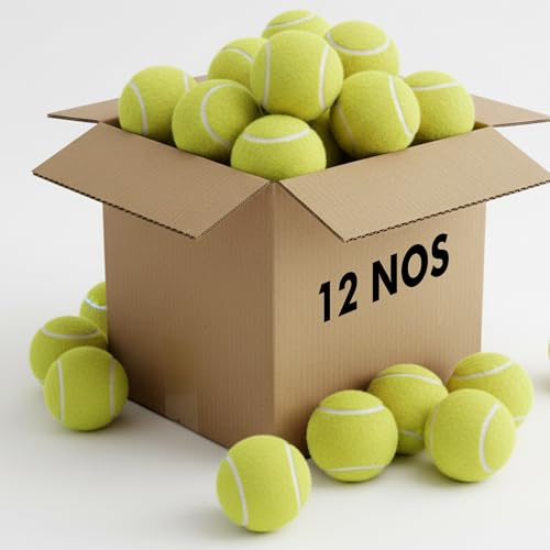 EPISENT Tennis Balls Pack of 12 - Ideal for Sports, Practice, Pet Play, Dog Training, Throwing Machine and All Court Types - With Mesh Carrying Bag